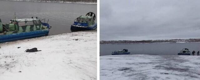 В Красноярском крае погиб мужчина от винта катера, выброшенного на берег из-за аварии