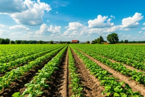 В Тверской области  рассмотрели вопросы сезонных полевых работ в нечернозёмных регионах ЦФО