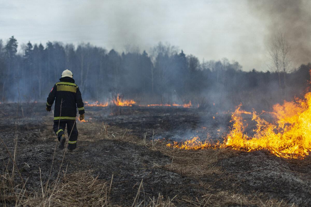 В Красноярском крае все еще борются с двумя из пяти пожаров, вспыхнувших 12 июня
