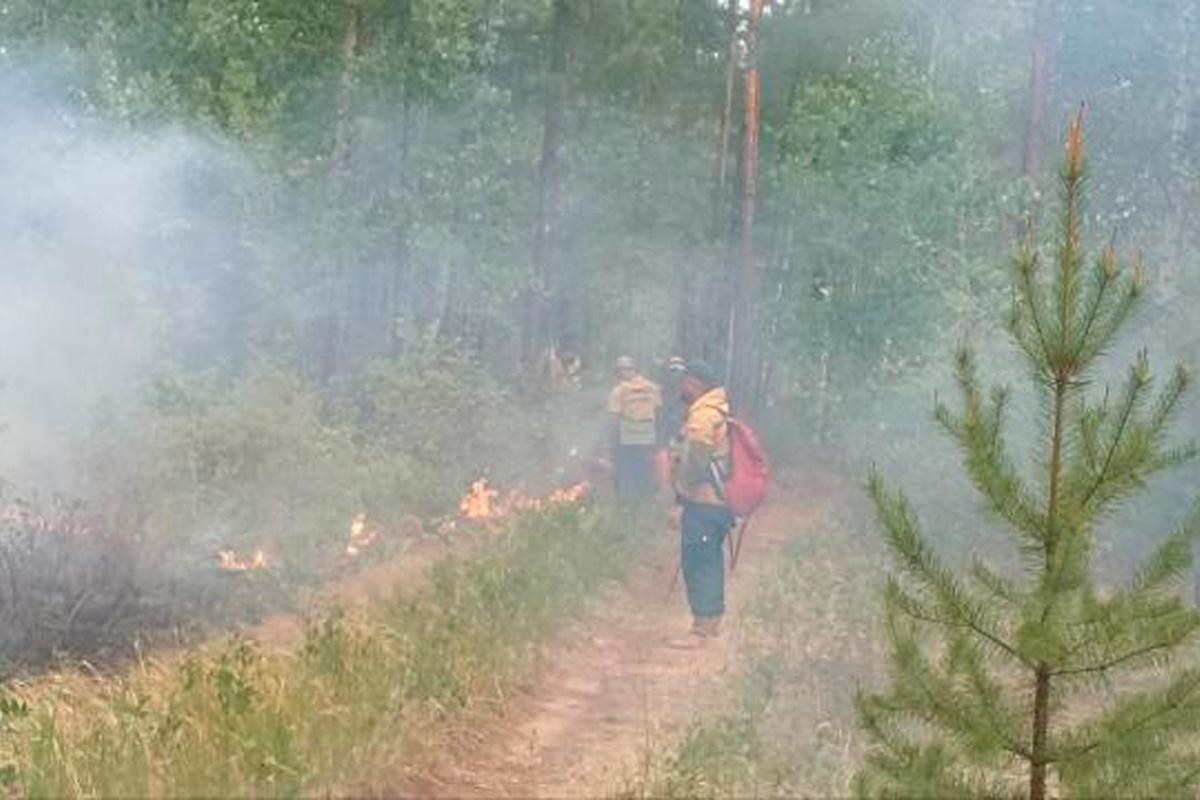 Возле Маккавеево в Забайкалье тушат лесной пожар с помощью отжига