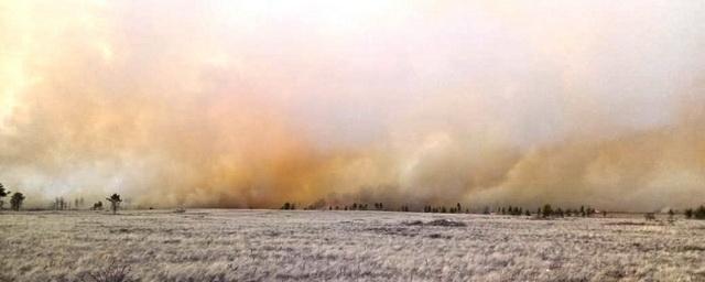 На юге Челябинской области тушат природный пожар на площади 980 га