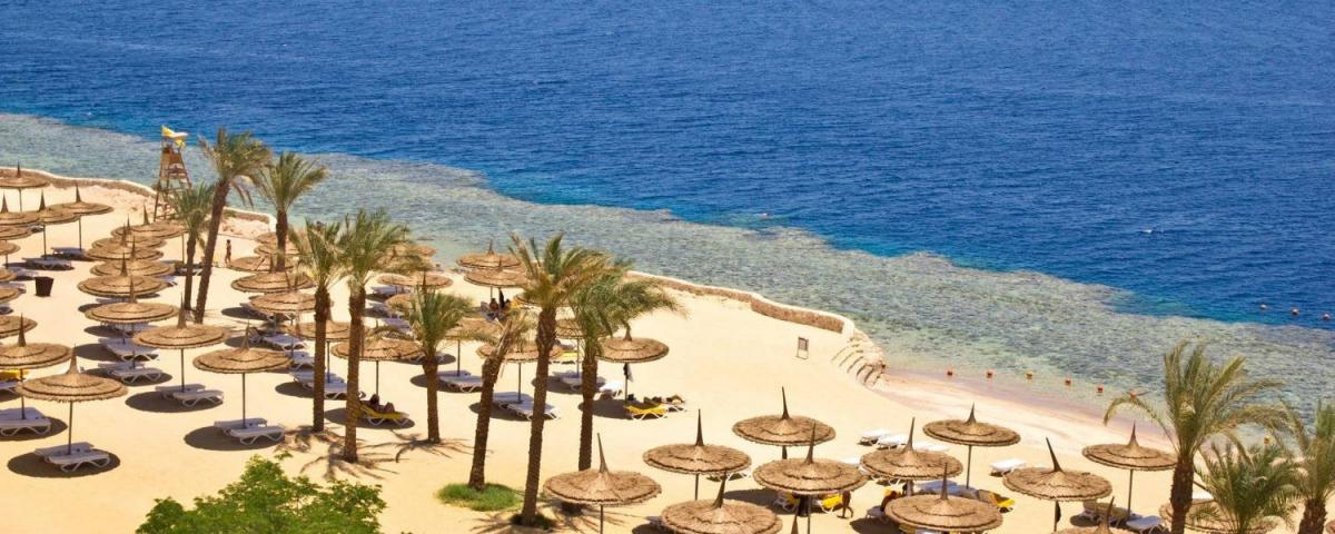 Делегация из РФ прибудет в Египет для проверки антикоронавирусных мер на курортах