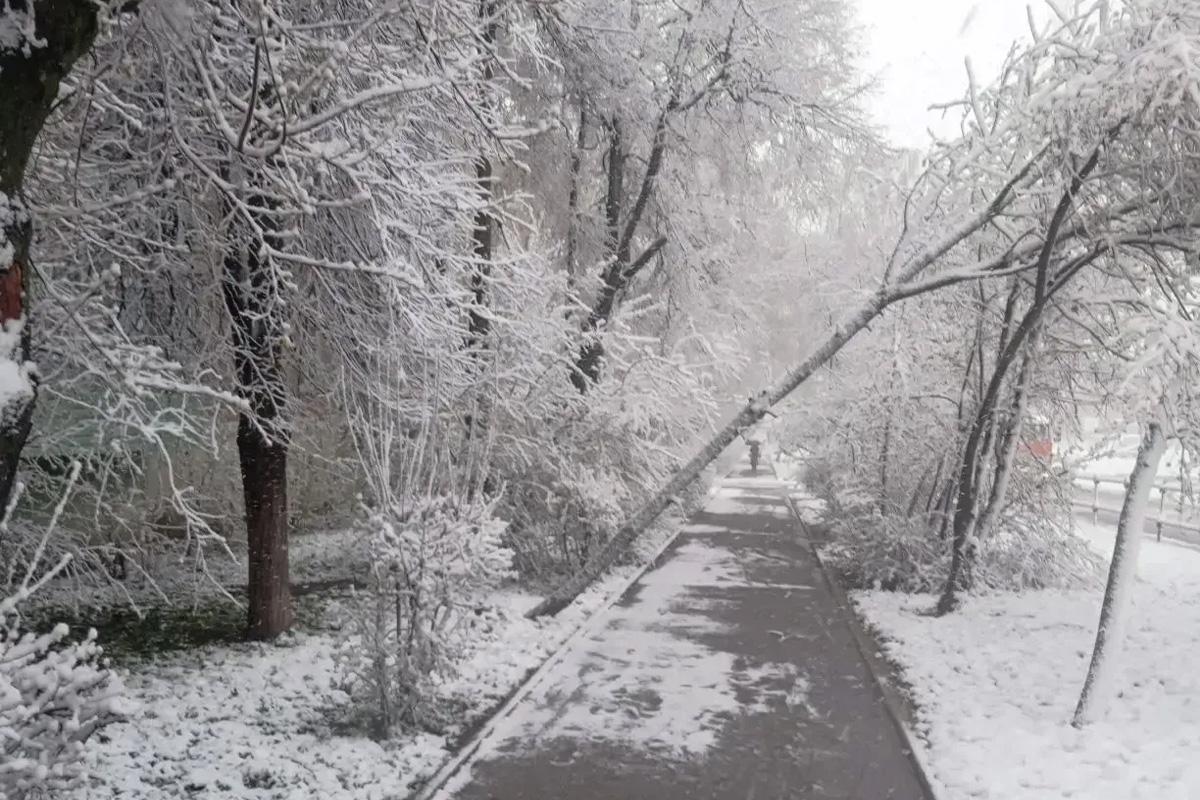 Коммунальные службы Зарайска переведены на усиленный режим работы после прошедшего снегопада