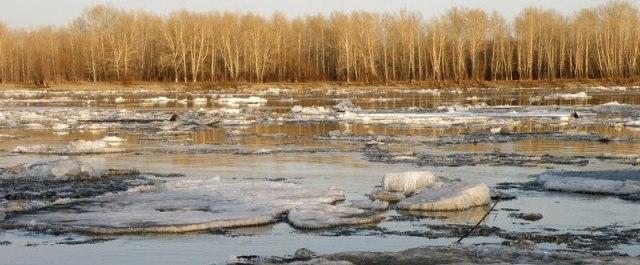 В Оби обнаружили замерзшее тело пропавшей в Новосибирске женщины