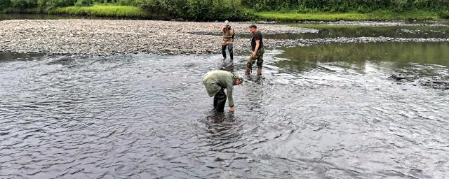 Нерюнгринская прокуратура разбирается в обстоятельствах загрязнения реки Чульман