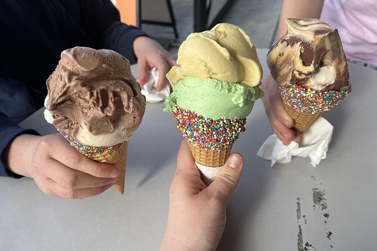 Сладкий бизнес расширяется: в Чечне построят крупный завод по производству мороженого