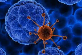 Вирусолог объяснил, как клетки организма самостоятельно защищаются от вирусов