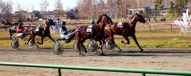 В Зауралье на ипподроме пройдет чемпионат среди женщин-наездниц