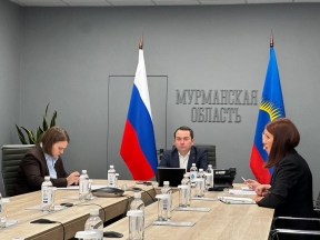 Губернатор Андрей Чибис поручил регоператору оперативно наладить вывоз мусора