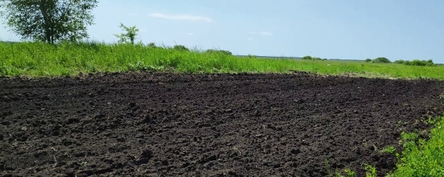 В Воронежской области создадут Красную книгу редких почв