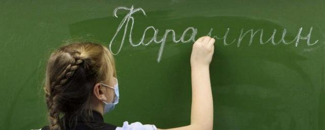 Все нижегородские школы закрывают на карантин