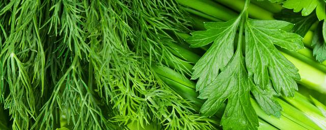 Переболевшим COVID-19 рекомендуется исключить из питания зелёные овощи и зелень