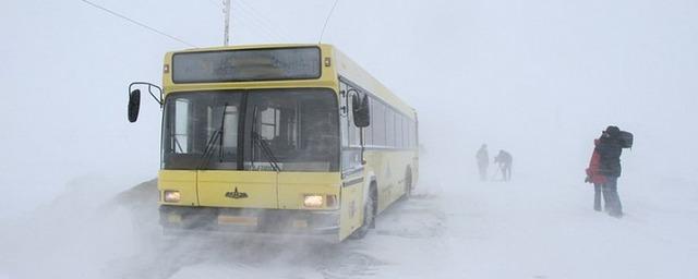 В Новосибирской области отменены рейсы междугородных автобусов