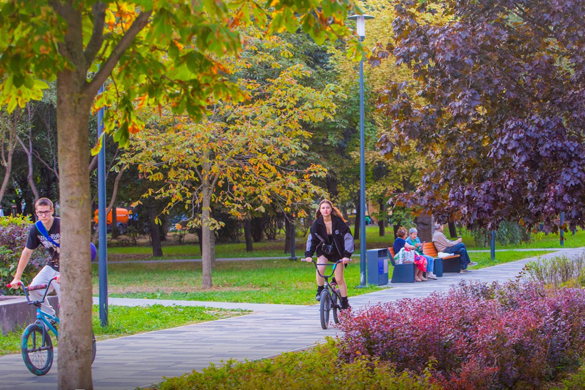 Во всероссийском голосовании за объекты для благоустройства от Подмосковья участвуют 289 территорий