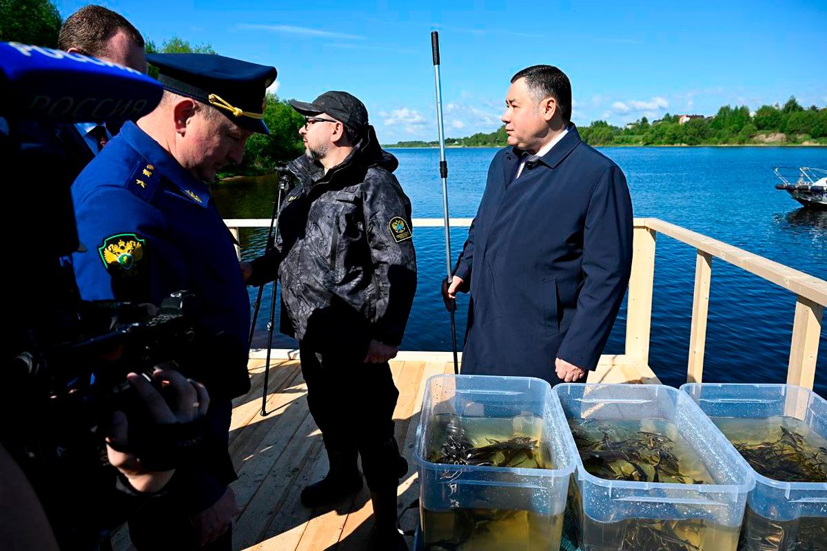 Губернатор Игорь Руденя в День Волги вместе с суворовцами и юннатами выпустил в реку более 5,5 тысяч экземпляров молоди стерляди