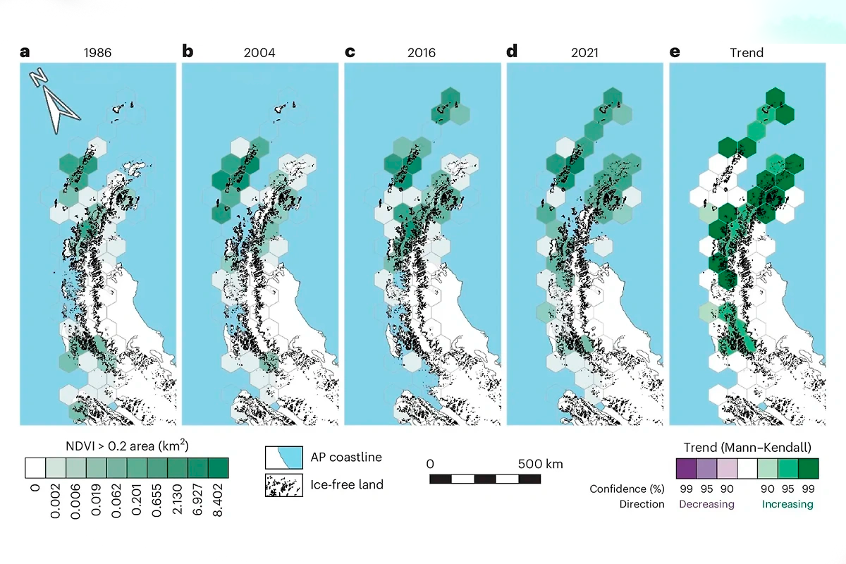 Ученый объяснил увеличение числа зеленных оттенков в Антарктиде