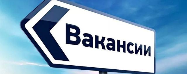 В Раменском центре занятости рассказали об открытых вакансиях