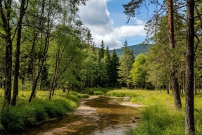 Туристам вход воспрещен: в хакасском природном парке на 2 месяца закрывают ключевые участки
