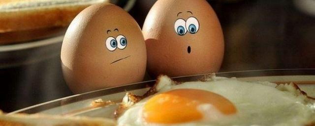 Яйца раздора: Одни ученые советуют есть яйца каждый день, другие – нет