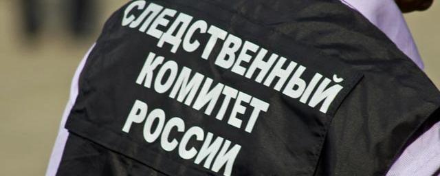 В Пермском крае пойдет под суд депутат, избивший сестру