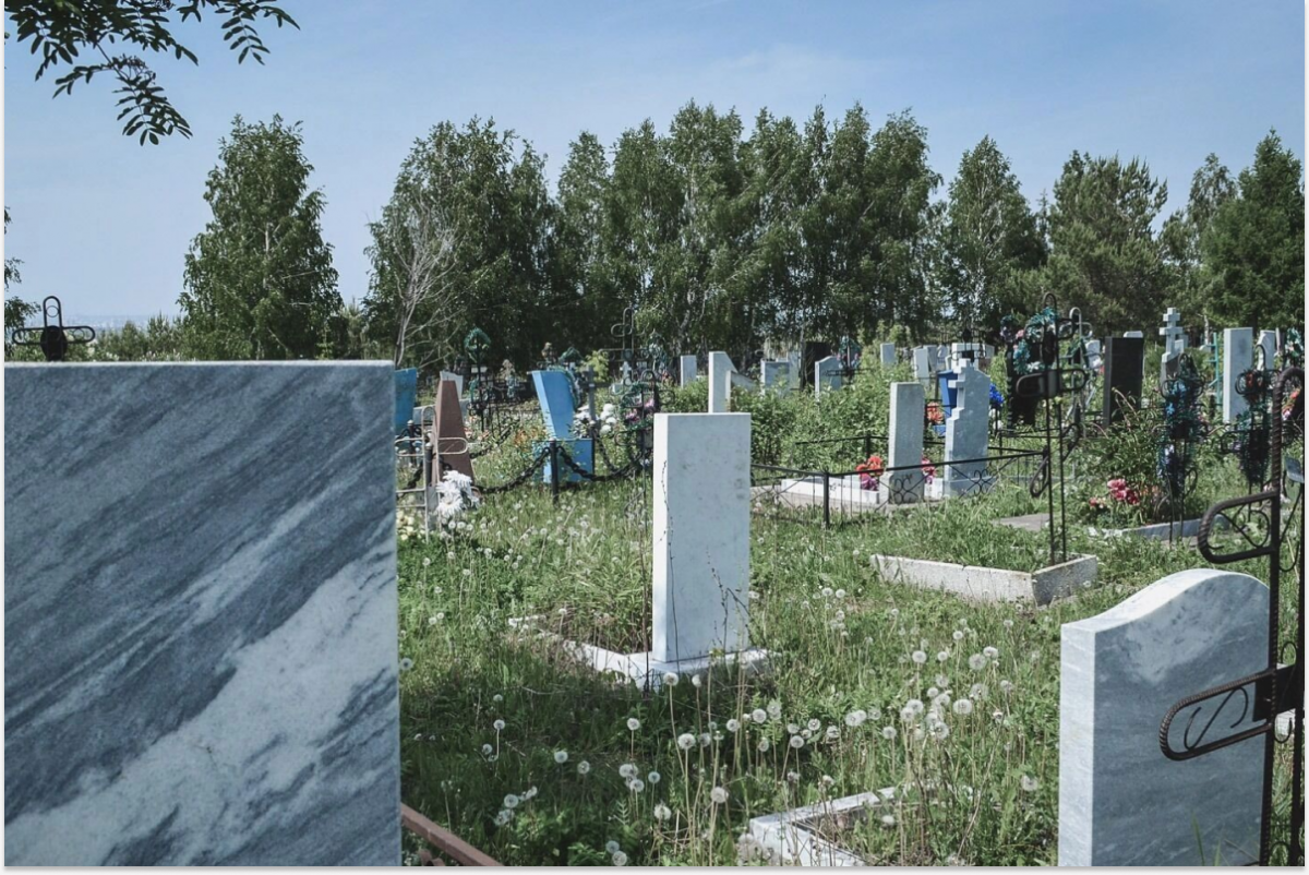 Белгородская область показала повышенную смертность по сравнению с остальным регионом