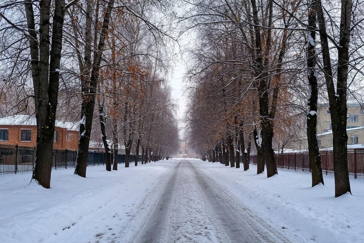 Новосибирск замерзал при -39,6: рекорд ноября, который не побит уже 60 лет