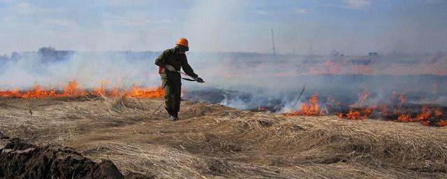 В Удмуртии объявили о начале пожароопасного сезона