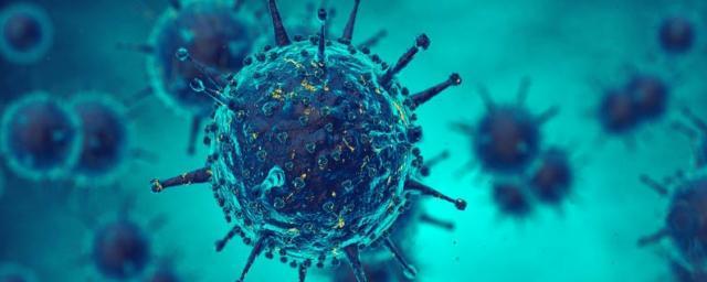 Эксперт: Власти США не контролируют пандемию коронавируса