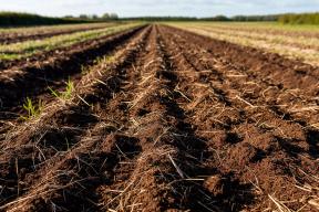 Рязанская область увеличила объёмы экспорта торфа