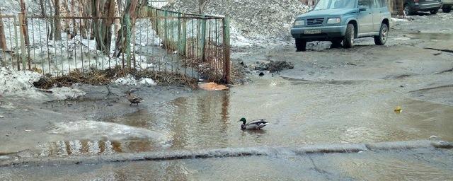 Власти Мурманска заявили о готовности города к паводку