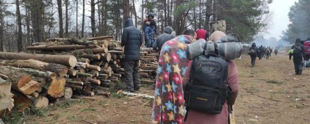 Погранслужба Украины опровергла расстрел беженцев, направлявшихся из Белоруссии