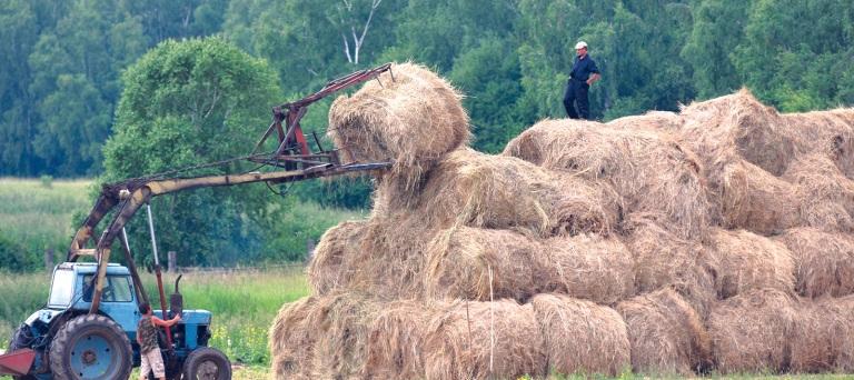 На Кубани подвели предварительные итоги сельхозпереписи