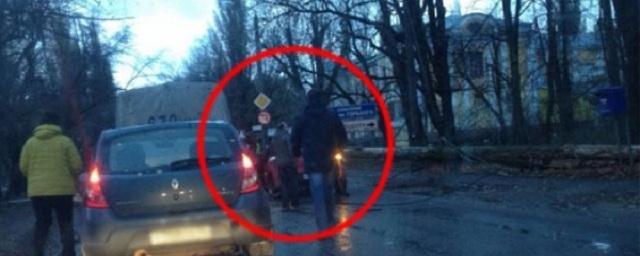 В Воронеже упавшее на дорогу дерево повредило автомобиль