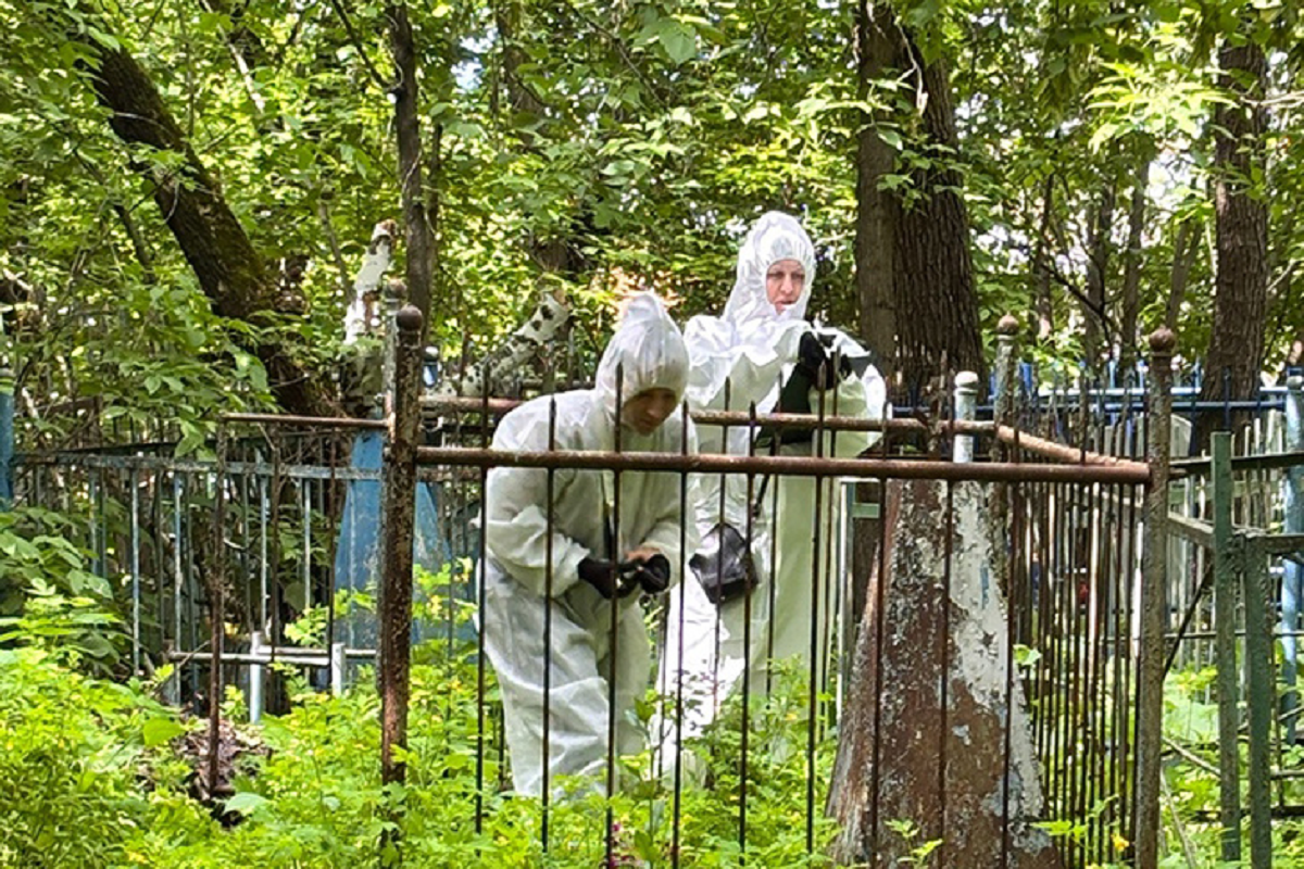 Новосибирцев озадачили появившиеся на кладбище специалисты Бюро генеалогии в костюмах химзащиты