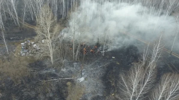 В Иркутской области горит 40 тысяч гектаров леса