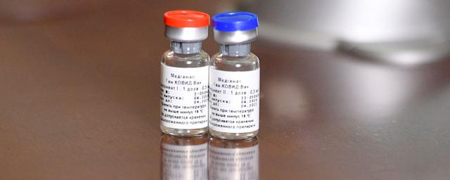 Гинцбург рассказал, как испытуемые переносят вакцинацию от COVID-19