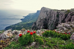 В Крыму изучают сейсмоактивность после землетрясения в Черном море