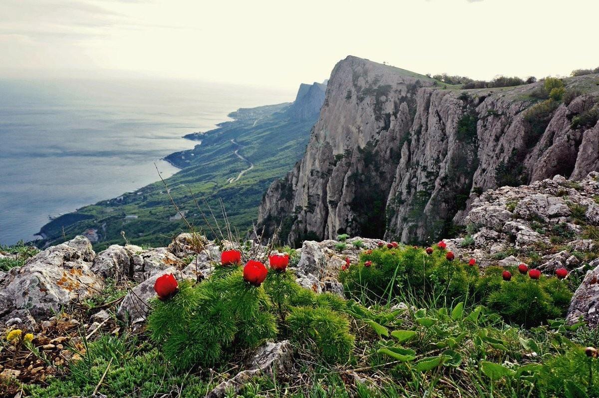 В Крыму изучают сейсмоактивность после землетрясения в Черном море