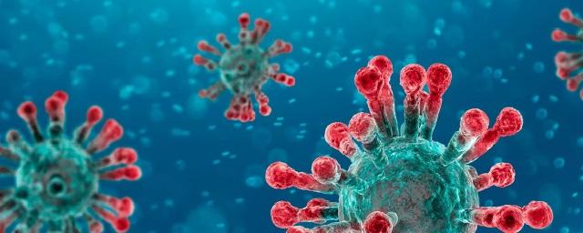 Еще 191 человек заболел коронавирусом в Омской области