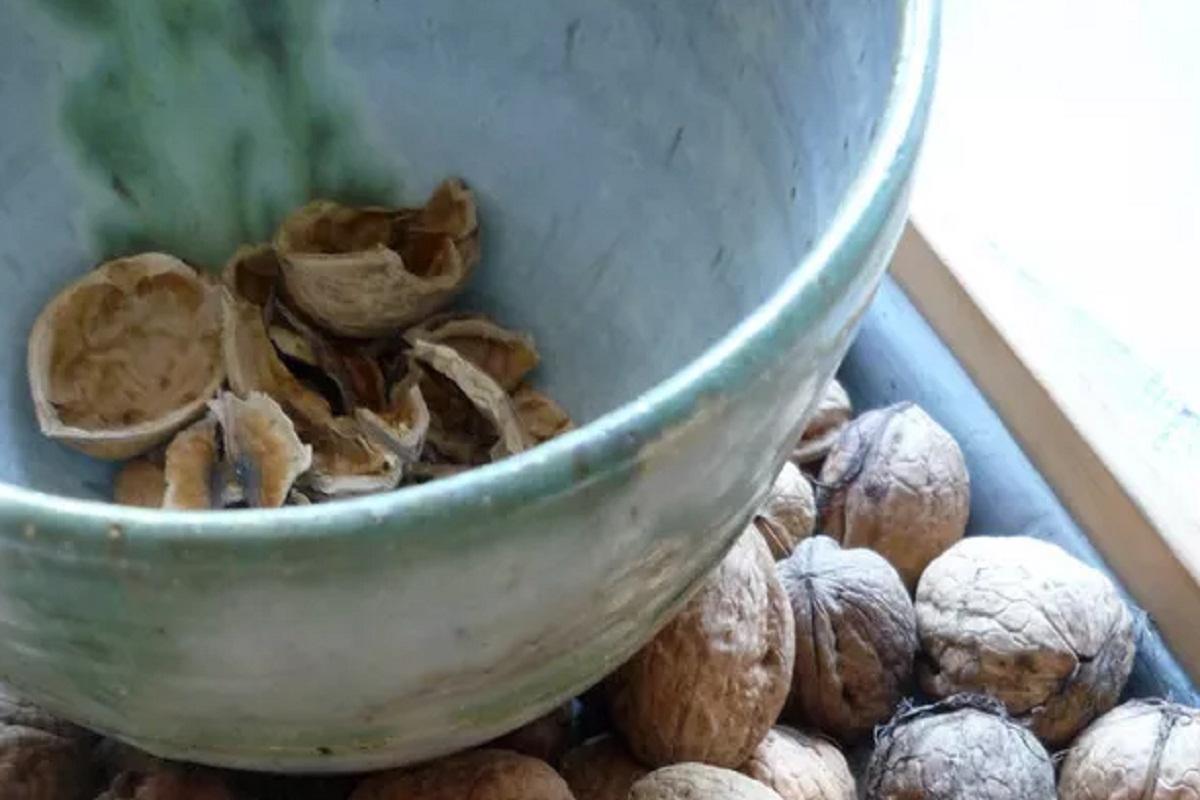 American scientists have claimed the benefits of walnuts for the intestines