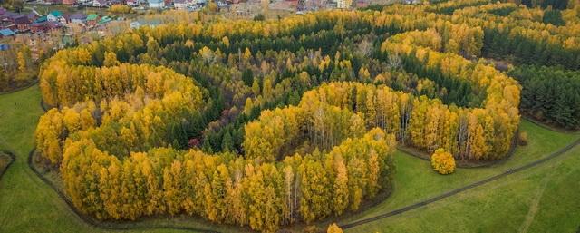 В Новосибирске фотограф снял с высоты краснообский лес
