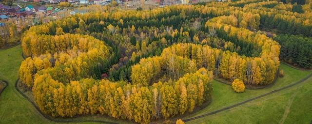 Краснообск парк синягина фото