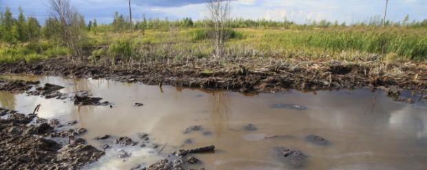 Ущерб экологии Удмуртии от отходов фермы превысил 6 миллионов рублей