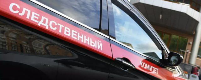 Вице-премьера Башкирии Беляева поместили под домашний арест
