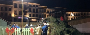 В Бельгии на трех человек упала 20-метровая 5-тонная новогодняя ель, одна женщина скончалась от травм