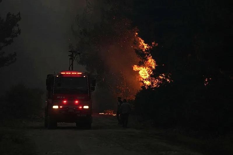 В Измире лесной пожар добрался до населенных пунктов