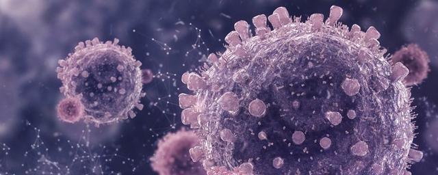 На Колыме за сутки зафиксировано 17 новых случаев коронавируса