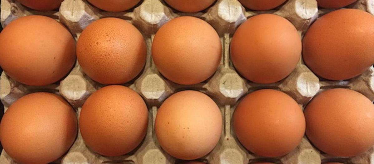 Экономист Ракша: Россиян ждет болтанка с ценами на яйца