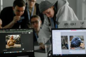Алгоритмы вместо кистей: «Таврида» открывает набор в лабораторию для художников искусственного интеллекта.