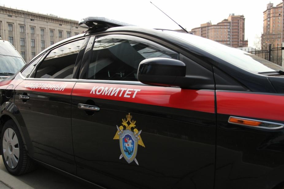 Бастрыкин взял на контроль смерть новосибирца на пожаре